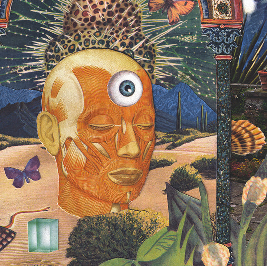 The Dreamer's Brow.